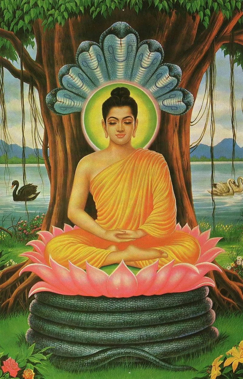 Ilustración de buda meditando